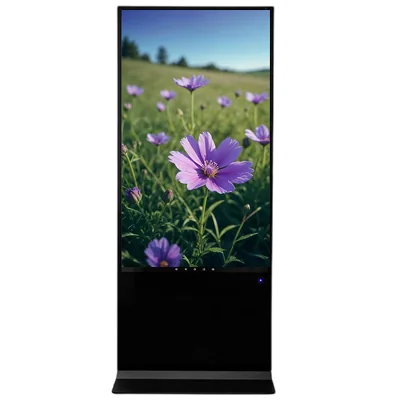 Интерактивный киоск EliteBoard LR-49S31 — изображение 1 из 3